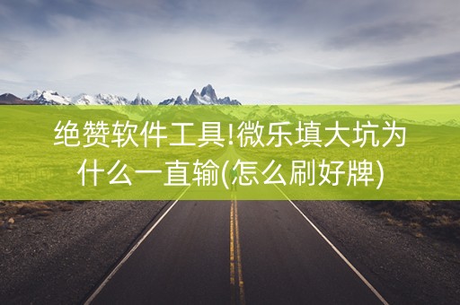 绝赞软件工具!微乐填大坑为什么一直输(怎么刷好牌)