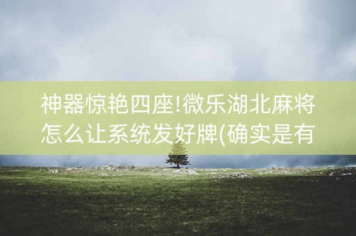 神器惊艳四座!微乐湖北麻将怎么让系统发好牌(确实是有挂的)