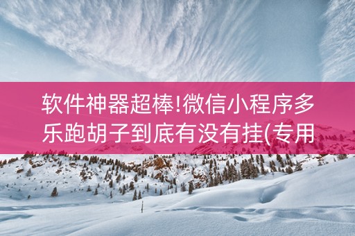 软件神器超棒!微信小程序多乐跑胡子到底有没有挂(专用神器胡牌技巧)