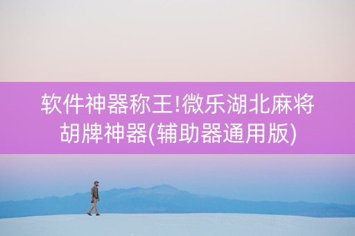 软件神器称王!微乐湖北麻将胡牌神器(辅助器通用版)