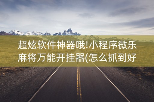 超炫软件神器哦!小程序微乐麻将万能开挂器(怎么抓到好牌)