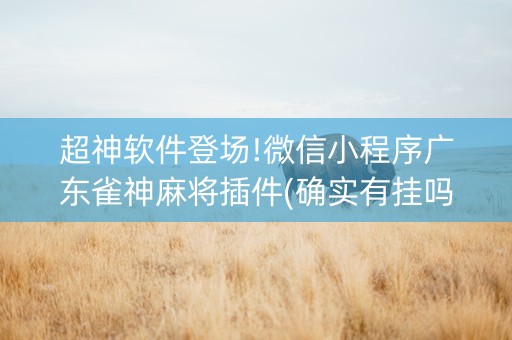 超神软件登场!微信小程序广东雀神麻将插件(确实有挂吗)