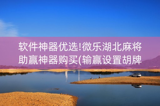 软件神器优选!微乐湖北麻将助赢神器购买(输赢设置胡牌规律)