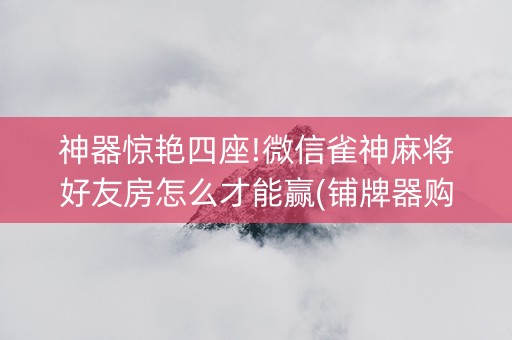 神器惊艳四座!微信雀神麻将好友房怎么才能赢(铺牌器购买)
