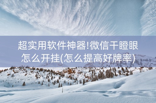 超实用软件神器!微信干瞪眼怎么开挂(怎么提高好牌率)