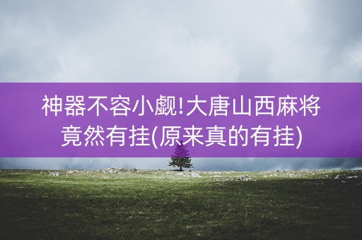 神器不容小觑!大唐山西麻将竟然有挂(原来真的有挂)