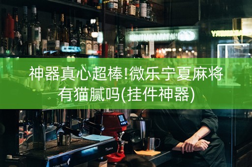 神器真心超棒!微乐宁夏麻将有猫腻吗(挂件神器)
