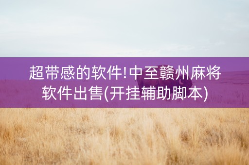 超带感的软件!中至赣州麻将软件出售(开挂辅助脚本)