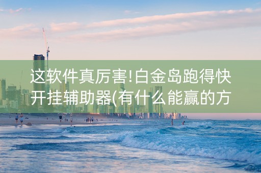 这软件真厉害!白金岛跑得快开挂辅助器(有什么能赢的方法)