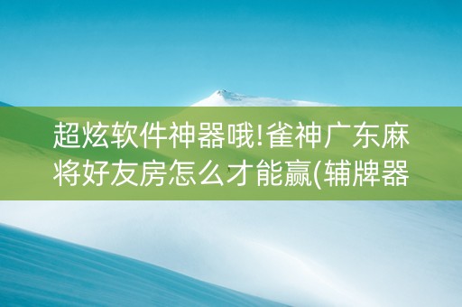 超炫软件神器哦!雀神广东麻将好友房怎么才能赢(辅牌器插件购买)