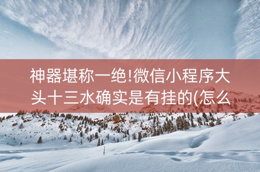神器堪称一绝!微信小程序大头十三水确实是有挂的(怎么设置胡牌)