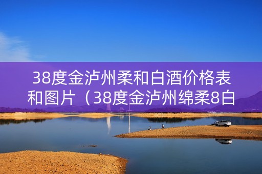 38度金泸州柔和白酒价格表和图片（38度金泸州绵柔8白酒红）