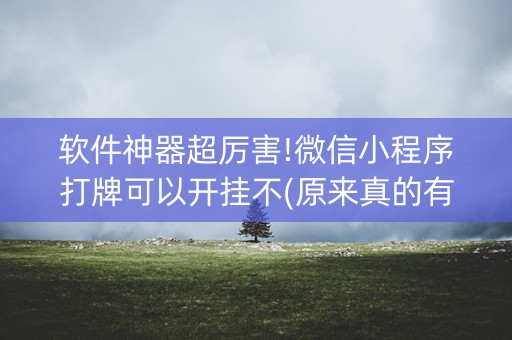 软件神器超厉害!微信小程序打牌可以开挂不(原来真的有挂)