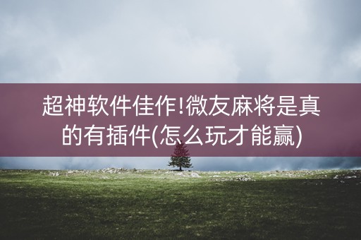 超神软件佳作!微友麻将是真的有插件(怎么玩才能赢)