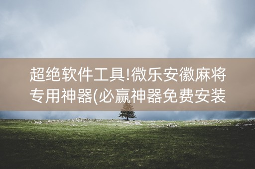超绝软件工具!微乐安徽麻将专用神器(必赢神器免费安装)