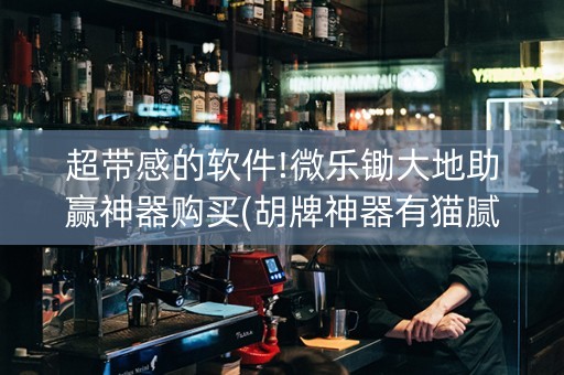 超带感的软件!微乐锄大地助赢神器购买(胡牌神器有猫腻吗)