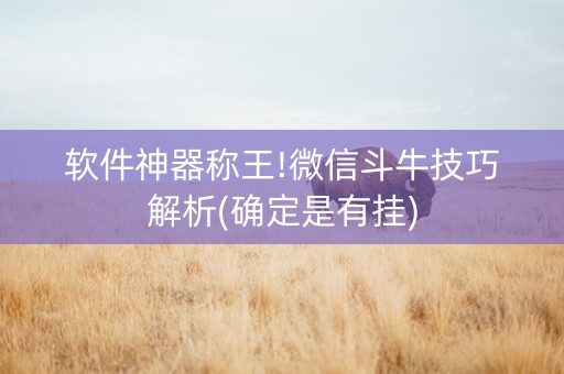 软件神器称王!微信斗牛技巧解析(确定是有挂)