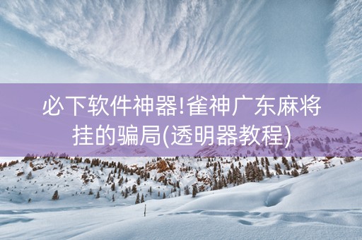 必下软件神器!雀神广东麻将挂的骗局(透明器教程)