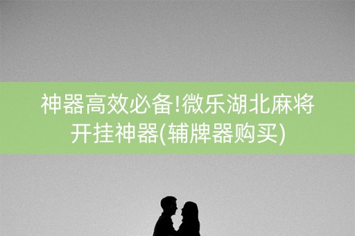 神器高效必备!微乐湖北麻将开挂神器(辅牌器购买)