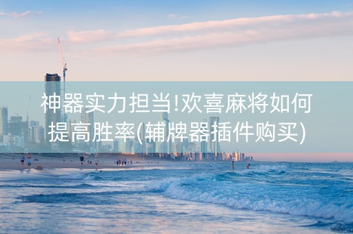 神器实力担当!欢喜麻将如何提高胜率(辅牌器插件购买)