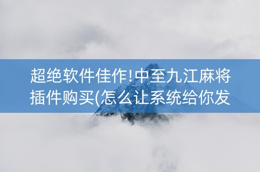超绝软件佳作!中至九江麻将插件购买(怎么让系统给你发好牌)