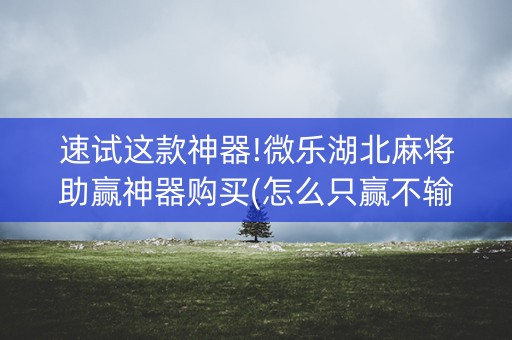 速试这款神器!微乐湖北麻将助赢神器购买(怎么只赢不输)