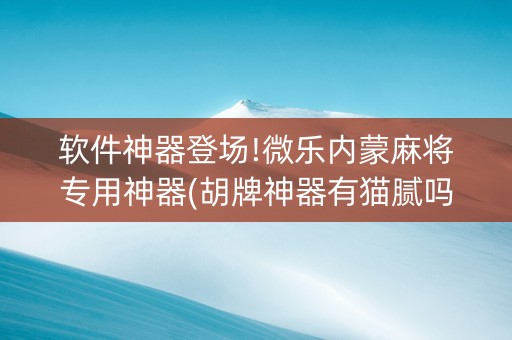 软件神器登场!微乐内蒙麻将专用神器(胡牌神器有猫腻吗)