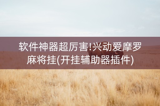 软件神器超厉害!兴动爱摩罗麻将挂(开挂辅助器插件)