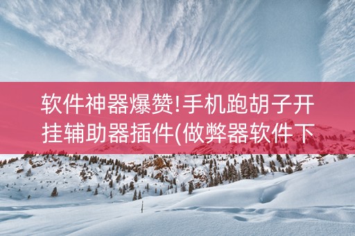 软件神器爆赞!手机跑胡子开挂辅助器插件(做弊器软件下载)