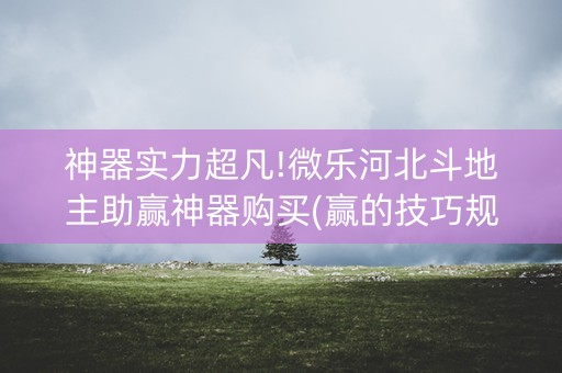 神器实力超凡!微乐河北斗地主助赢神器购买(赢的技巧规律)