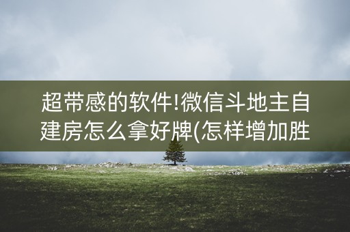 超带感的软件!微信斗地主自建房怎么拿好牌(怎样增加胜率)