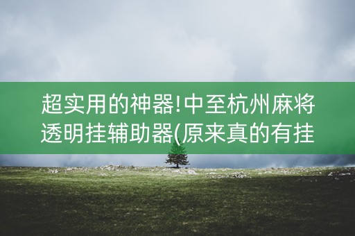 超实用的神器!中至杭州麻将透明挂辅助器(原来真的有挂)