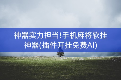 神器实力担当!手机麻将软挂神器(插件开挂免费AI)