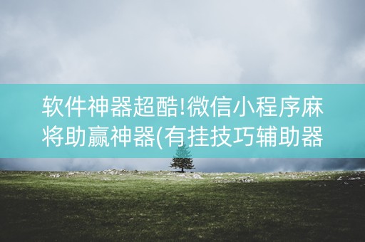 软件神器超酷!微信小程序麻将助赢神器(有挂技巧辅助器)