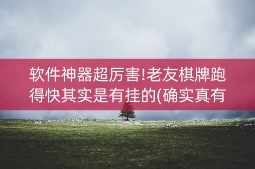 软件神器超厉害!老友棋牌跑得快其实是有挂的(确实真有挂)