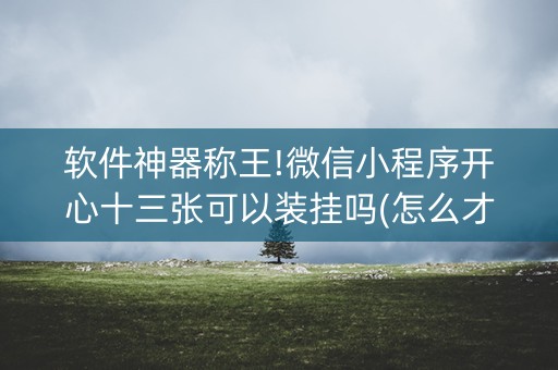 软件神器称王!微信小程序开心十三张可以装挂吗(怎么才能来好牌)