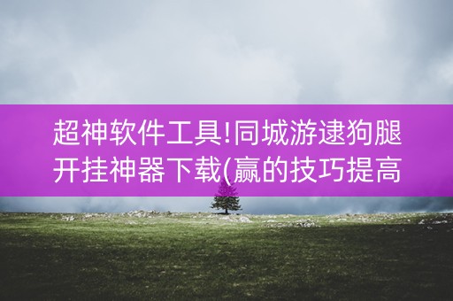 超神软件工具!同城游逮狗腿开挂神器下载(赢的技巧提高胜率)