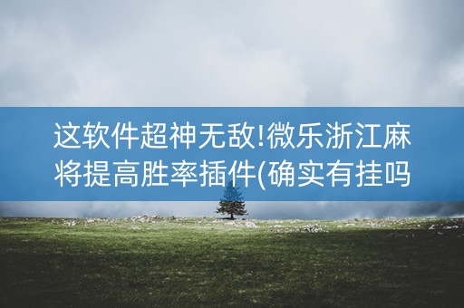 这软件超神无敌!微乐浙江麻将提高胜率插件(确实有挂吗)