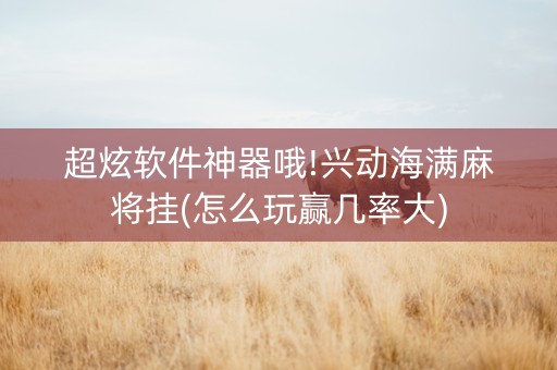 超炫软件神器哦!兴动海满麻将挂(怎么玩赢几率大)