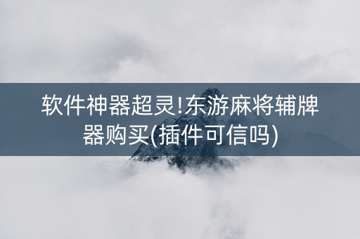 软件神器超灵!东游麻将辅牌器购买(插件可信吗)