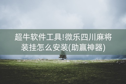 超牛软件工具!微乐四川麻将装挂怎么安装(助赢神器)