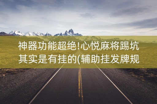 神器功能超绝!心悦麻将踢坑其实是有挂的(辅助挂发牌规律)