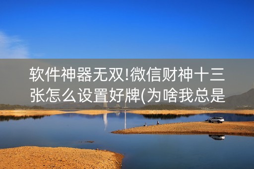 软件神器无双!微信财神十三张怎么设置好牌(为啥我总是输)