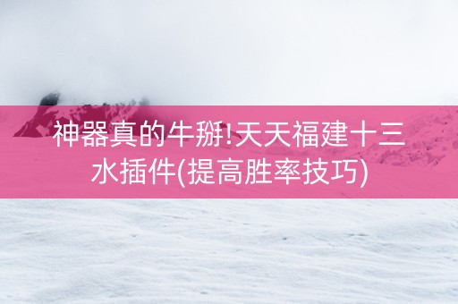 神器真的牛掰!天天福建十三水插件(提高胜率技巧)