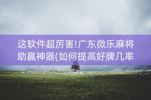 这软件超厉害!广东微乐麻将助赢神器(如何提高好牌几率)