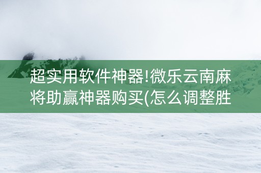 超实用软件神器!微乐云南麻将助赢神器购买(怎么调整胜率)
