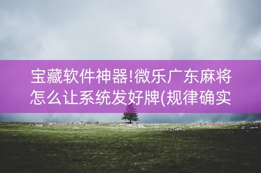 宝藏软件神器!微乐广东麻将怎么让系统发好牌(规律确实有挂)