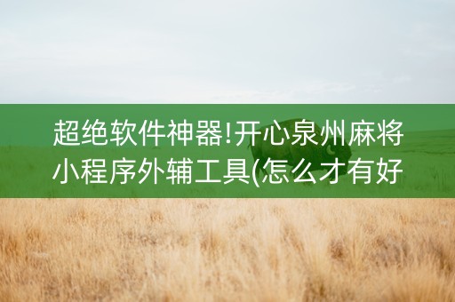 超绝软件神器!开心泉州麻将小程序外辅工具(怎么才有好牌)