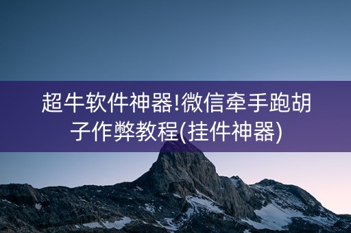 超牛软件神器!微信牵手跑胡子作弊教程(挂件神器)