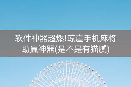 软件神器超燃!琼崖手机麻将助赢神器(是不是有猫腻)